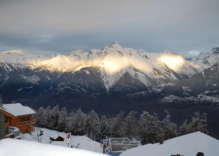 Near Slope 베이소나츠